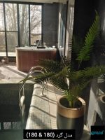 جکوزی 8 نفره مدل ass2020 - تصویر 2